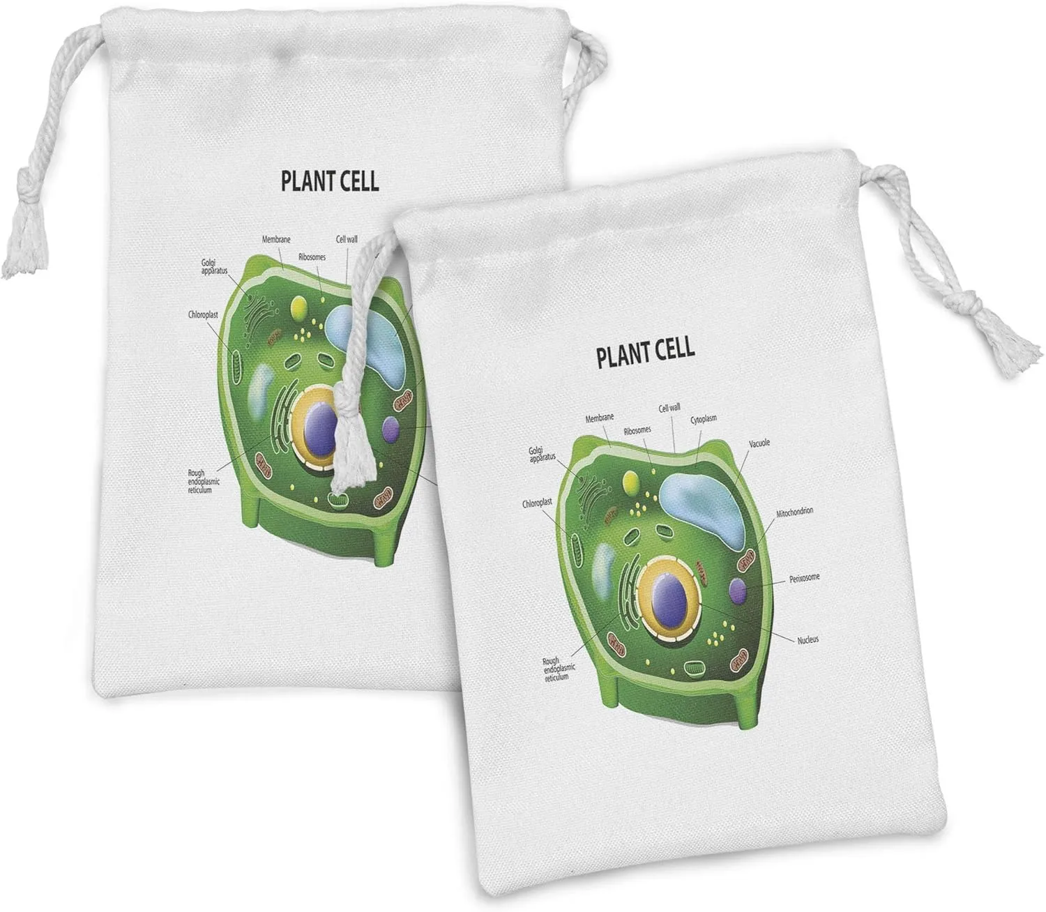 Ambesonne Science Fabric Pouch Set of 2, Botanic Cell Morphology Drawing Print Vacuole Nucleus Chloroplast Membrane, Small Drawstring Bag for Toiletries Masks and Favors, 9" x 6", Pale Blue and Green