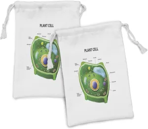 Ambesonne Science Fabric Pouch Set of 2, Botanic Cell Morphology Drawing Print Vacuole Nucleus Chloroplast Membrane, Small Drawstring Bag for Toiletries Masks and Favors, 9" x 6", Pale Blue and Green