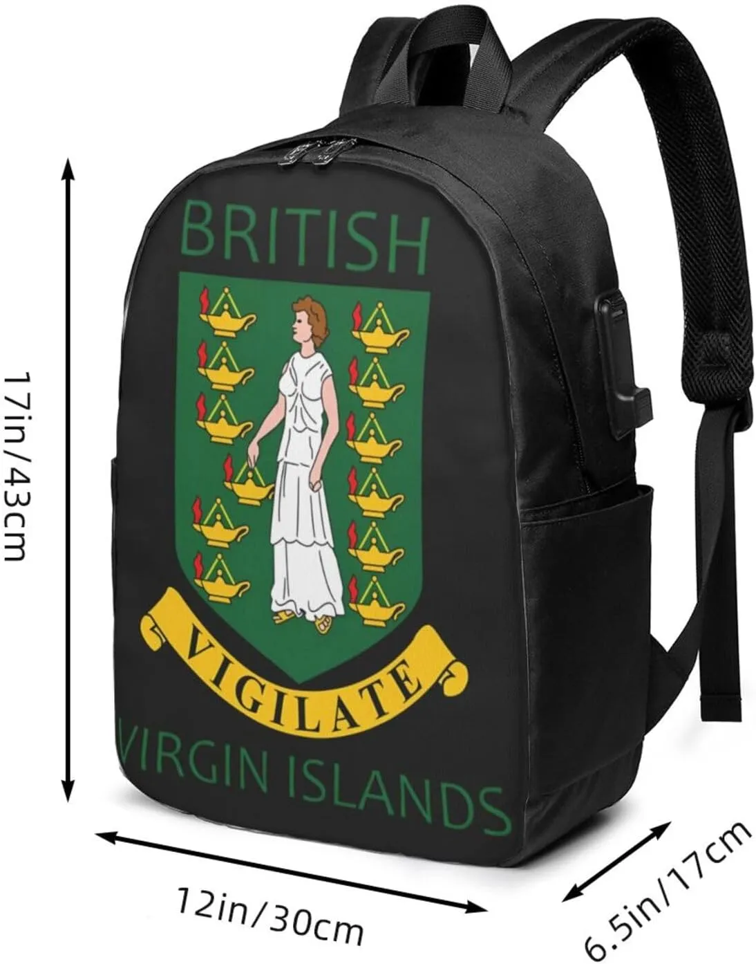 British Virgin Islands Flags Laptop Backpacks Travel Backpack Casual Business Daypack Sport Rucksack Computer Bag Fits up to 17 Inch Notebook with USB Port