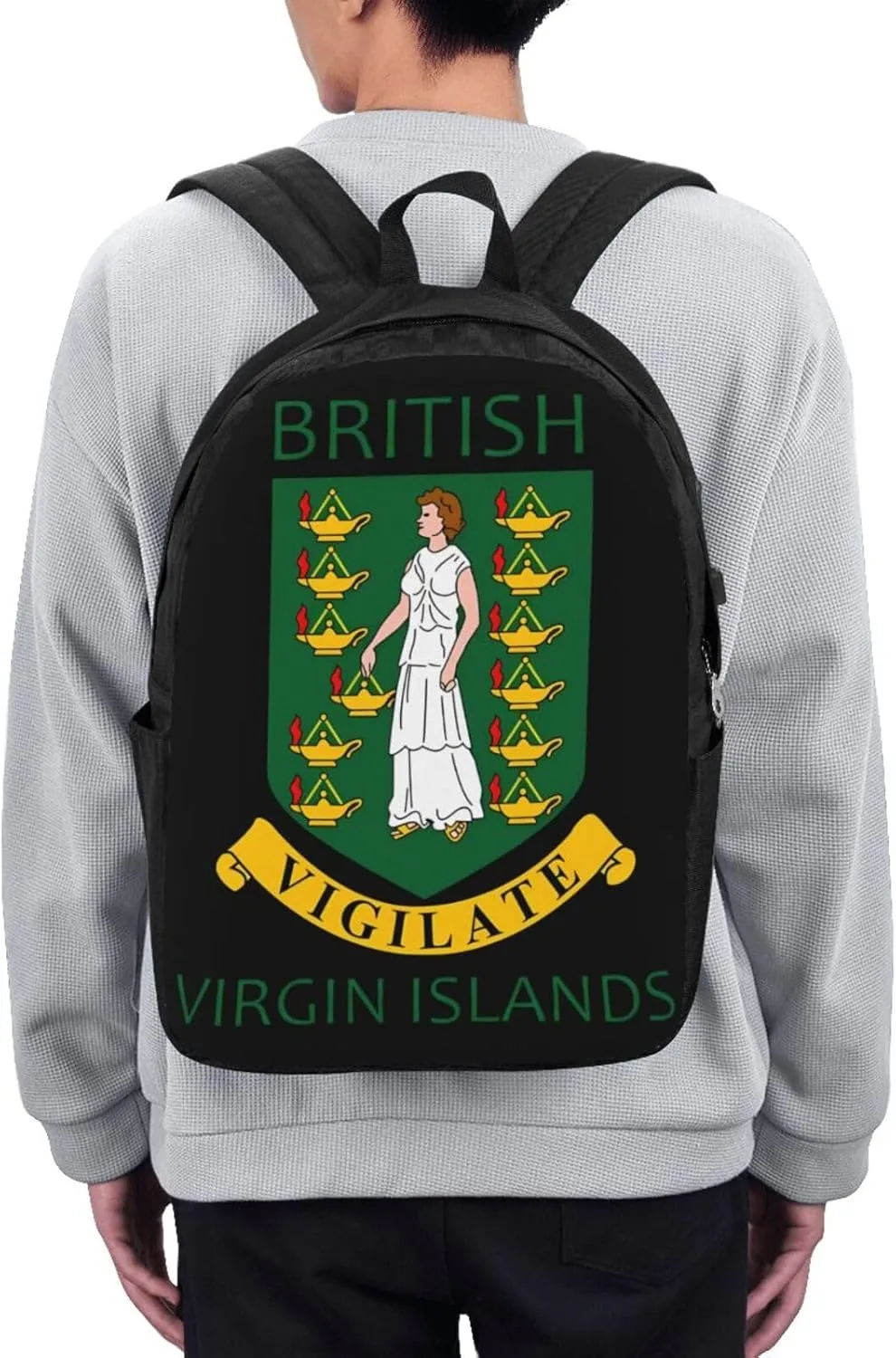 British Virgin Islands Flags Laptop Backpacks Travel Backpack Casual Business Daypack Sport Rucksack Computer Bag Fits up to 17 Inch Notebook with USB Port